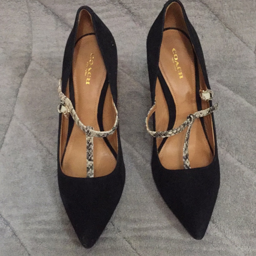 Coach 8.5